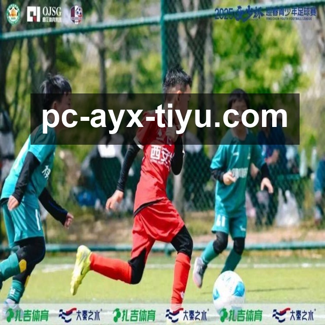 哈维与布罗金顿打法互补 辽宁后场双枪升级阵地与转换体系