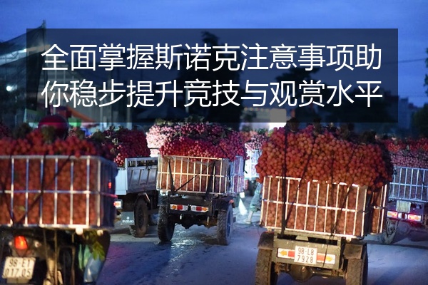 全面掌握斯诺克注意事项助你稳步提升竞技与观赏水平